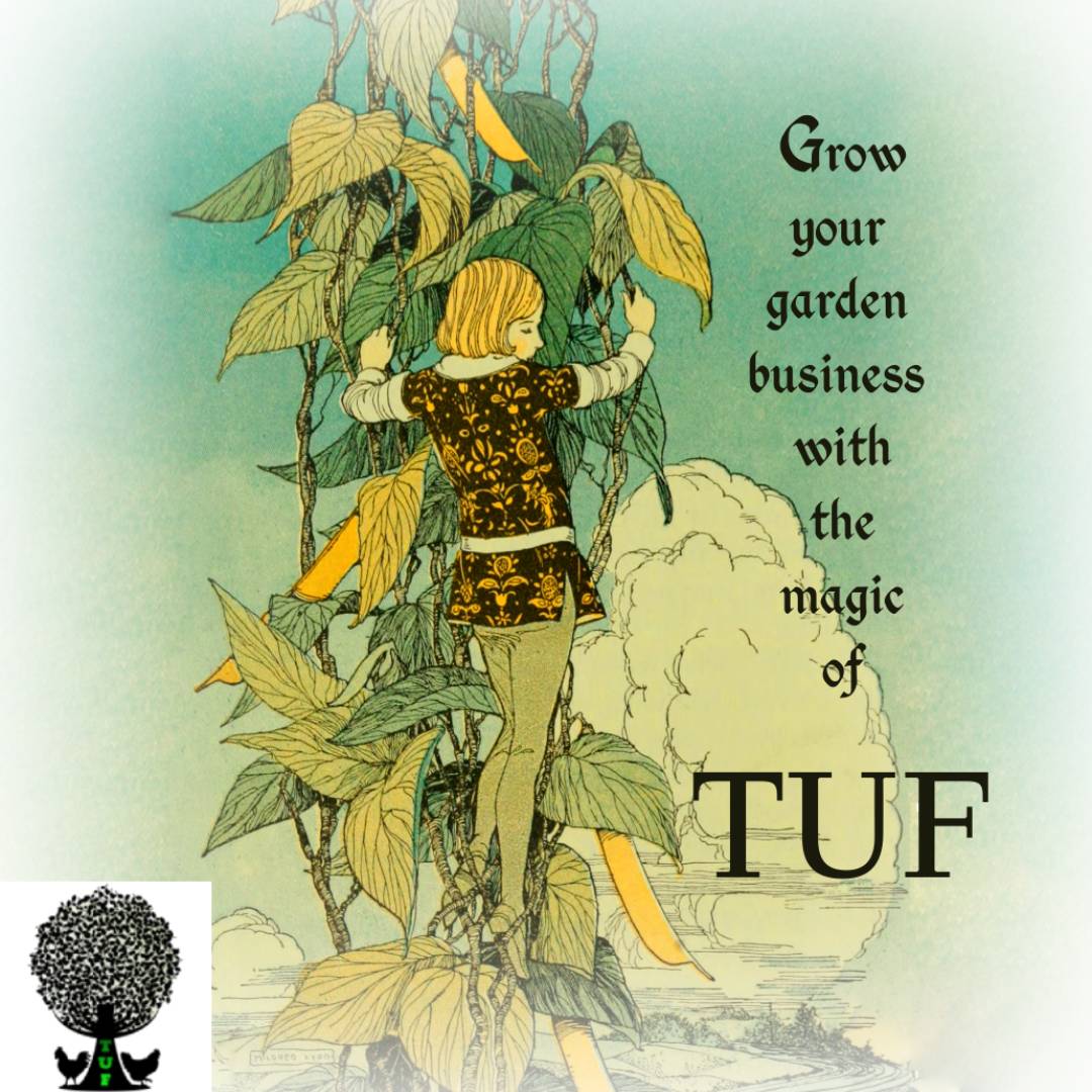 Image of Advertisement